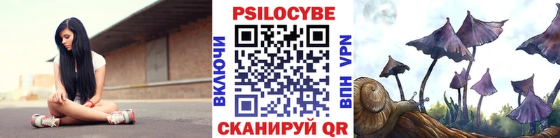 Псилоцибиновые грибы Cubensis  Кущёвская 